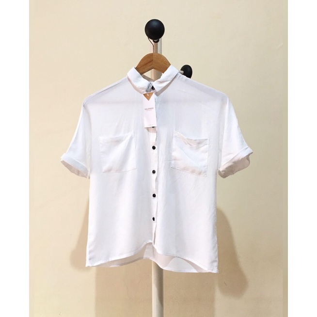 

color box shirt new with tag