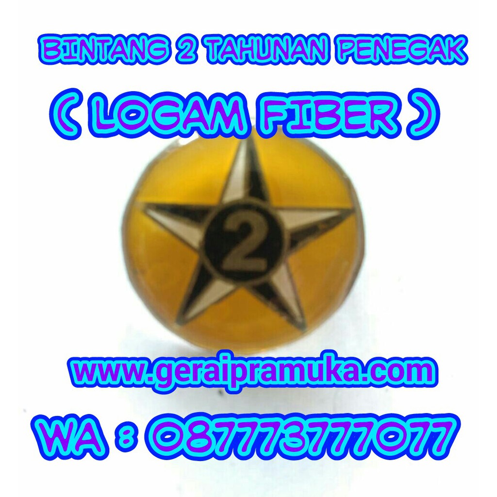 Pin Bintang 2 Tahunan Penegak