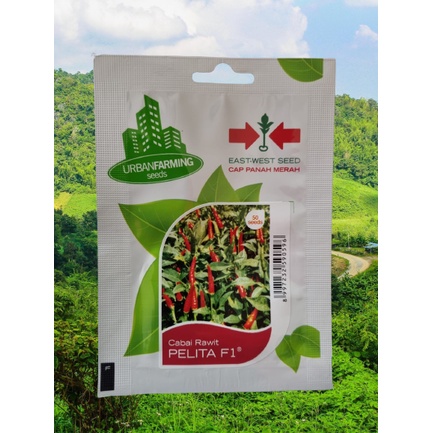 Benih Cabai Rawit PELITA F1