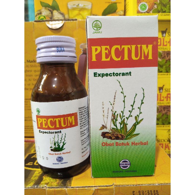 

Pectum obat batuk herbal