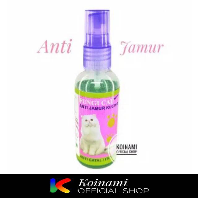 Fungus Merawat Kucing Cara
