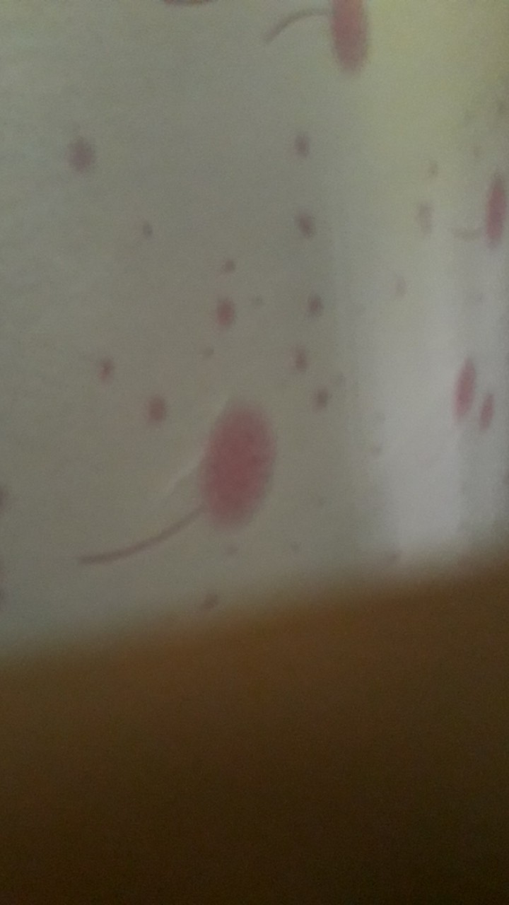 Kemeja Batik Lengan Panjang Motif Adipati