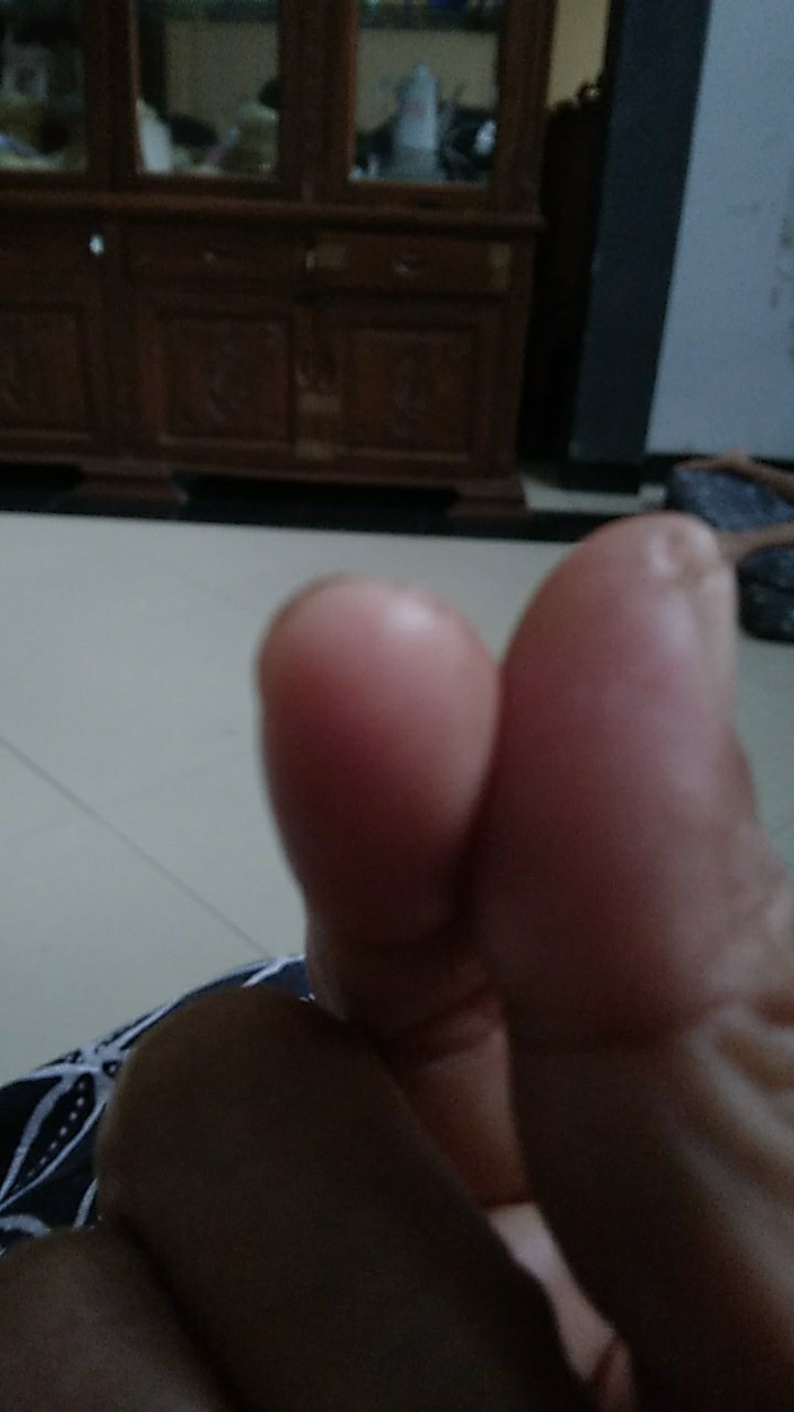 7pcs Spuit Piping Icing Untuk Dekorasi Kue / Cupcake