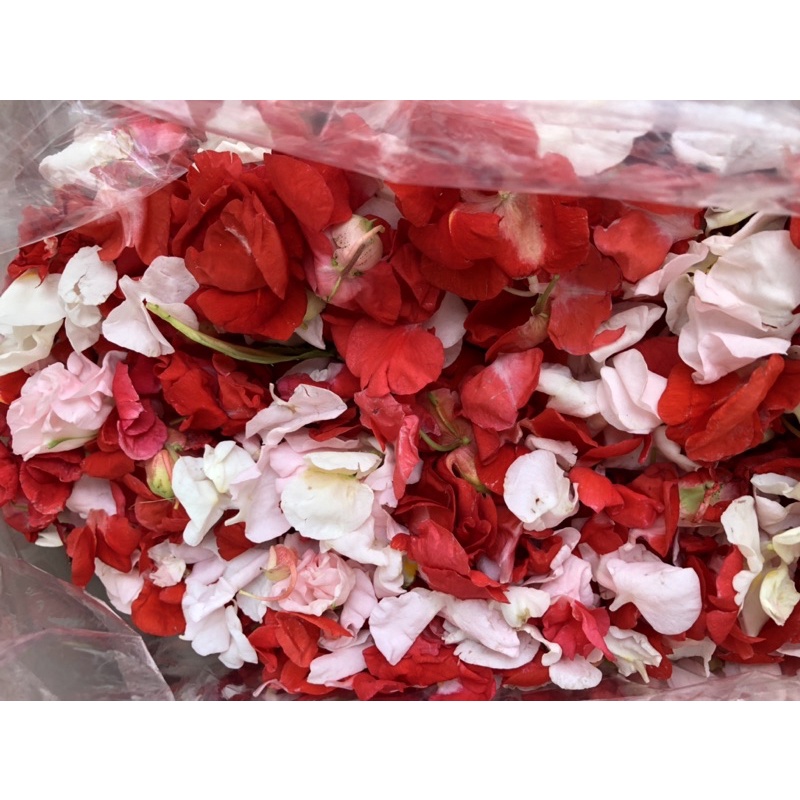 Bunga Tabur Pihong  Ziarah Nyekar Kuburan Karet Tanah Kusir San Diego Hills Makam