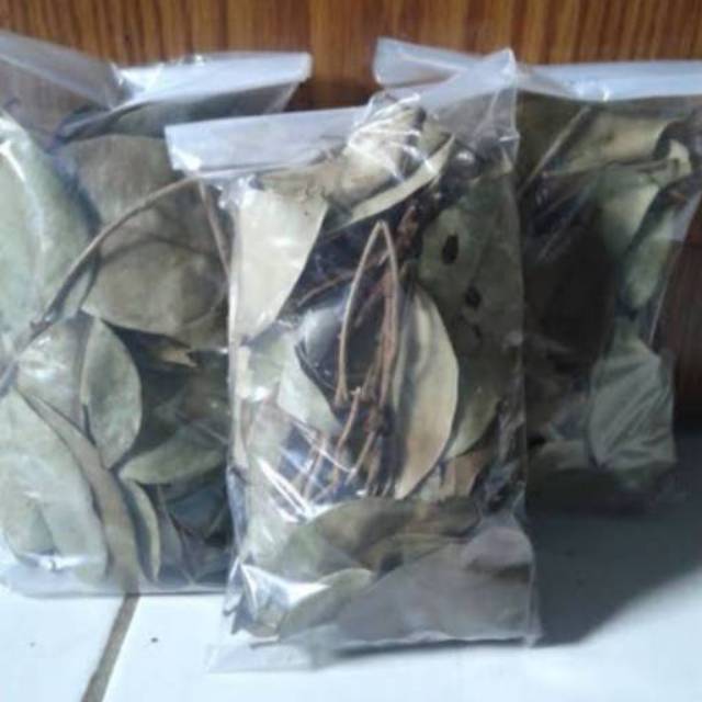 

Benalu Kering Pohon Cengkih-Teh Kering Daun Benalu Organik Food 250 Grm Sudah P-IRT