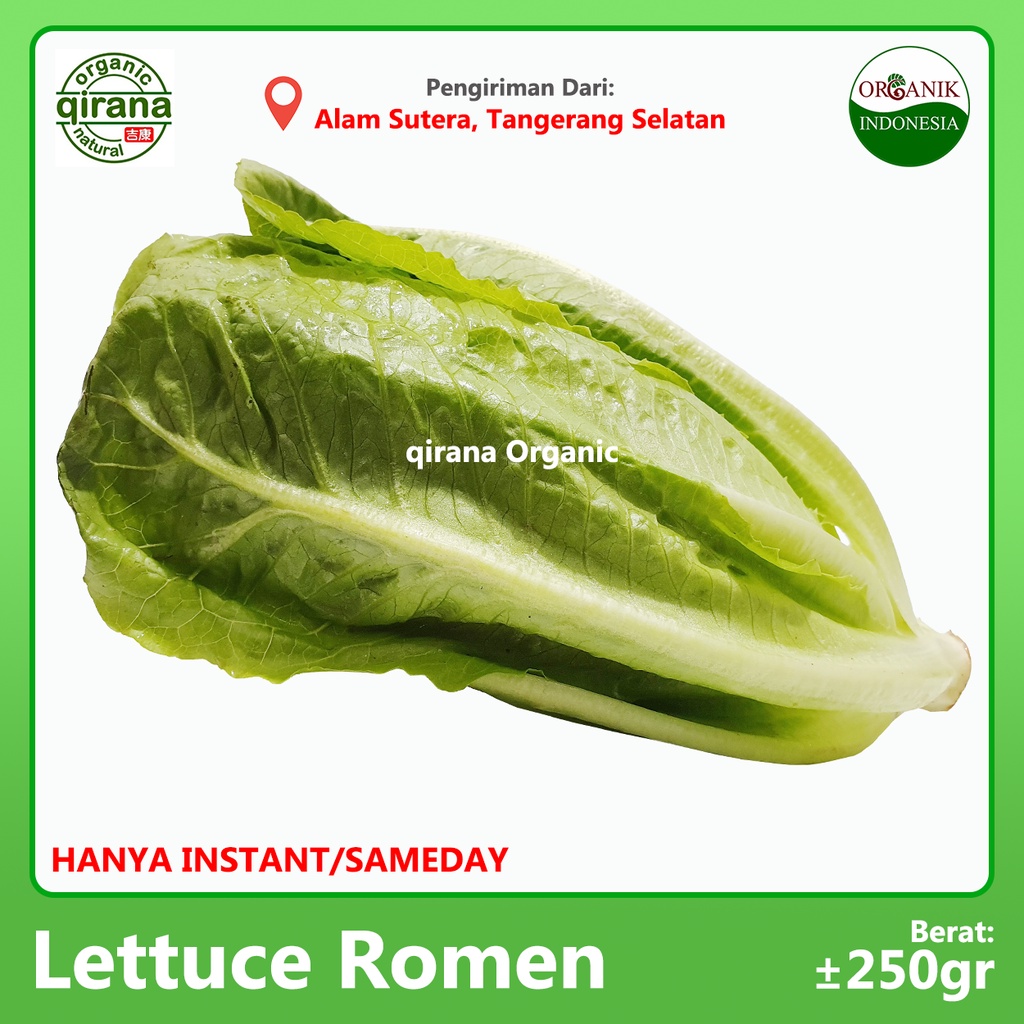 

Selada Romen Organik 250g