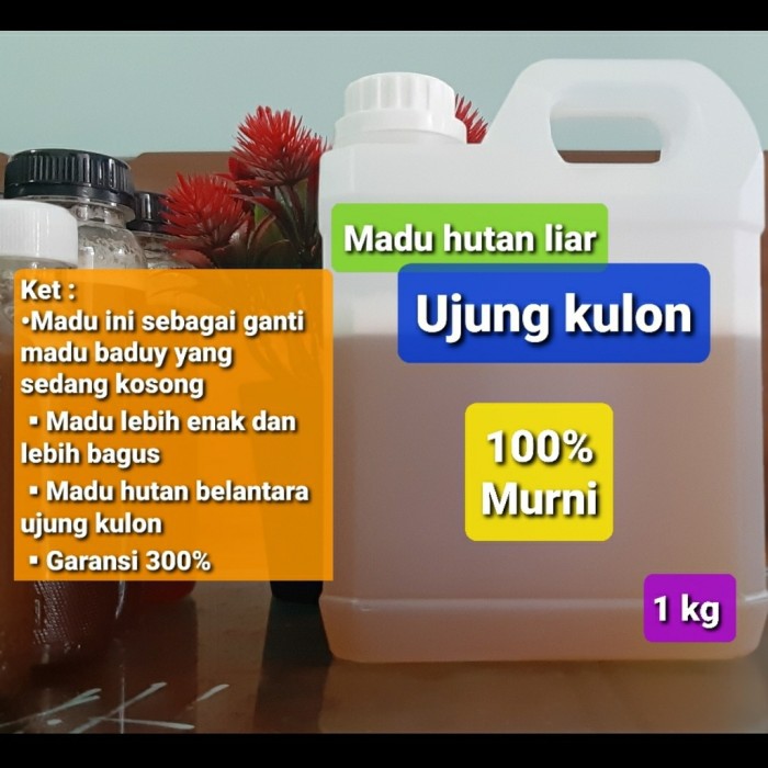 

Spesial MADU HUTAN BADUY BANTEN ASLI DAN MURNI 100% Diskon