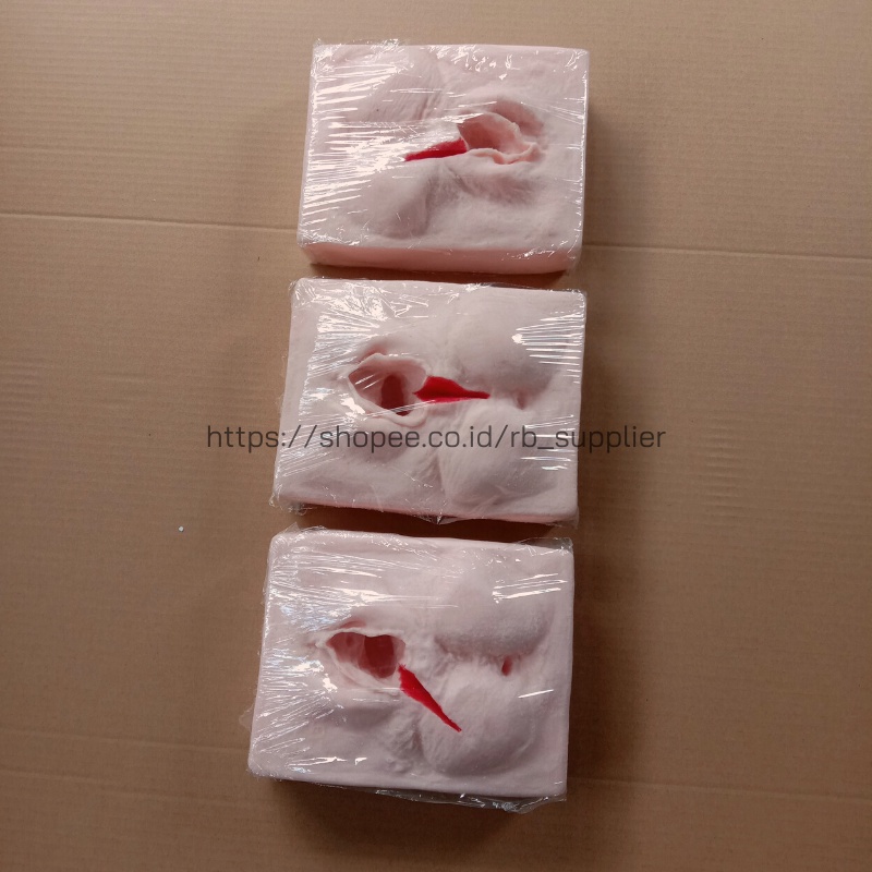 Episiotomi-Phantom/Manekin/Manikin Alat Peraga Pendidikan Bedah Sayatan Jalan Lahir-Perineum Silikon
