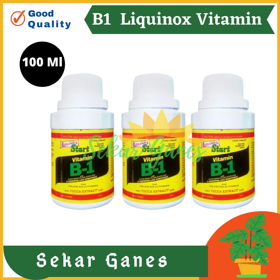 Ori B1 Liquinox 100 Ml Penumbuh Akar Obat Anti Stres Vitamin Nutrisi B1 Tanaman Bibit Stek Cangkok