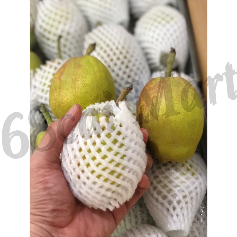 

Pear Xianglie - Impor Asli Size Sedang Jumbo Manis Garing Juicy