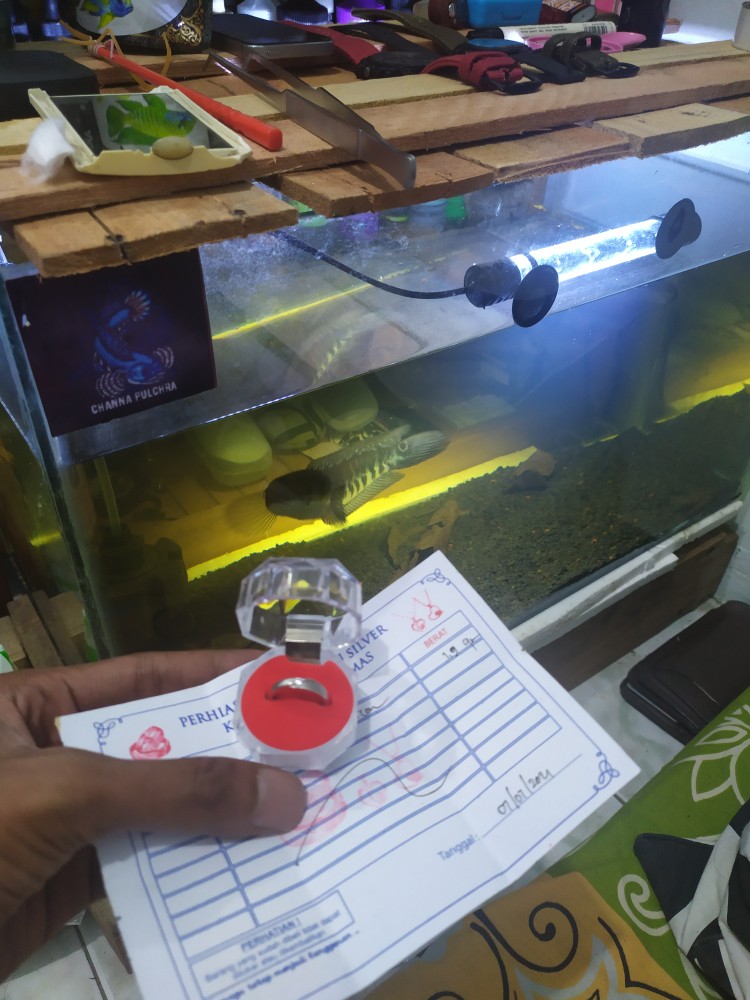 Kotak Satu Cincin / Box Cincin Model Mika Hanya Untuk 1 Cincin