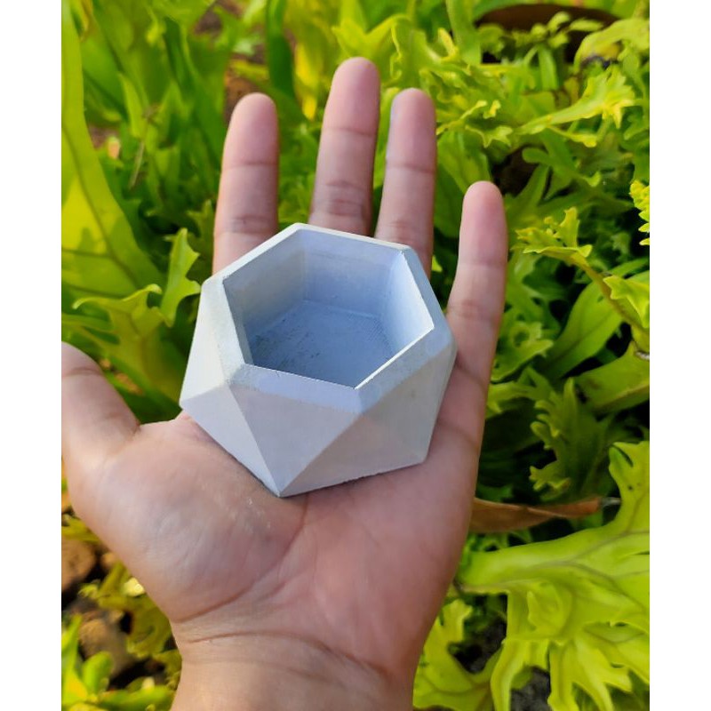pot semen mini | kaktus | sukulen | mame bonsai hexagonal concrete | tempat lilin