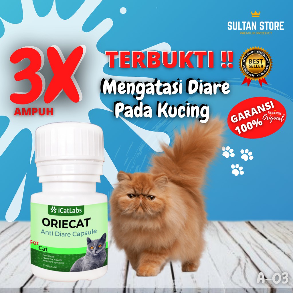 Obat Diare Mencret Untuk Kucing  Persia Anggora Peaknose Himalaya Jantan Betina Cat ORIECAT