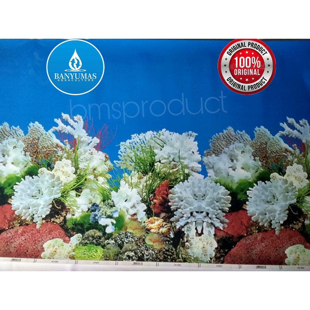 Background Aquarium Bolak Balik Shopee Indonesia