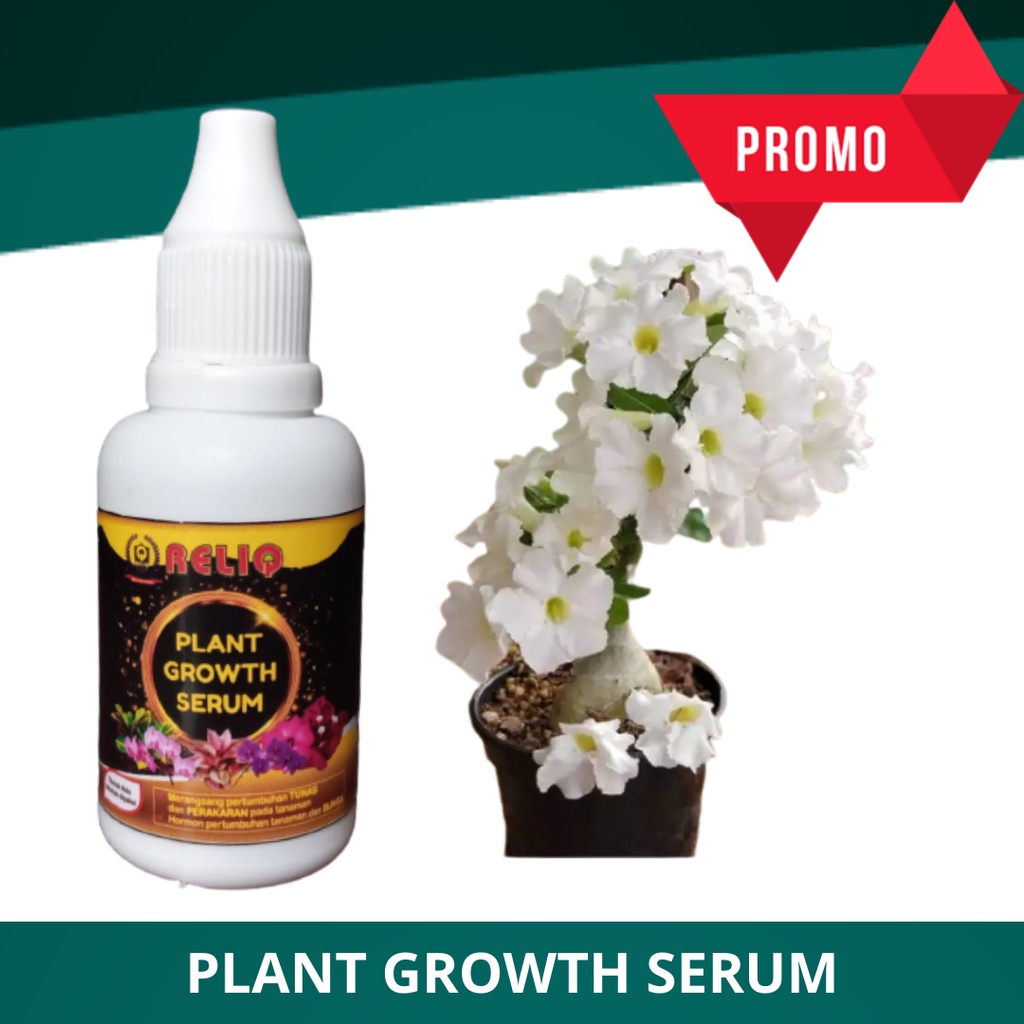 Pupuk Pemicu Pertumbuhan Bunga Bougenville, Plant Growth Serum Reliq, Hormon Untk Bugenvil Putih Terbaik