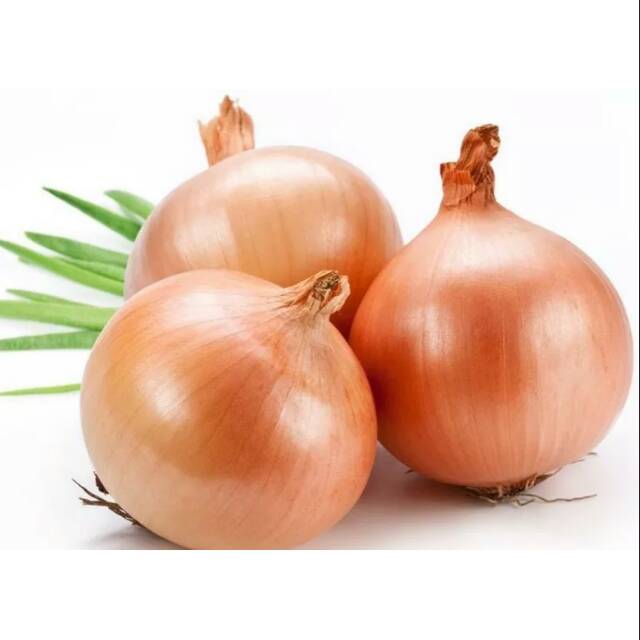 

BAWANG BOMBAI FRESH Harga per 500gr