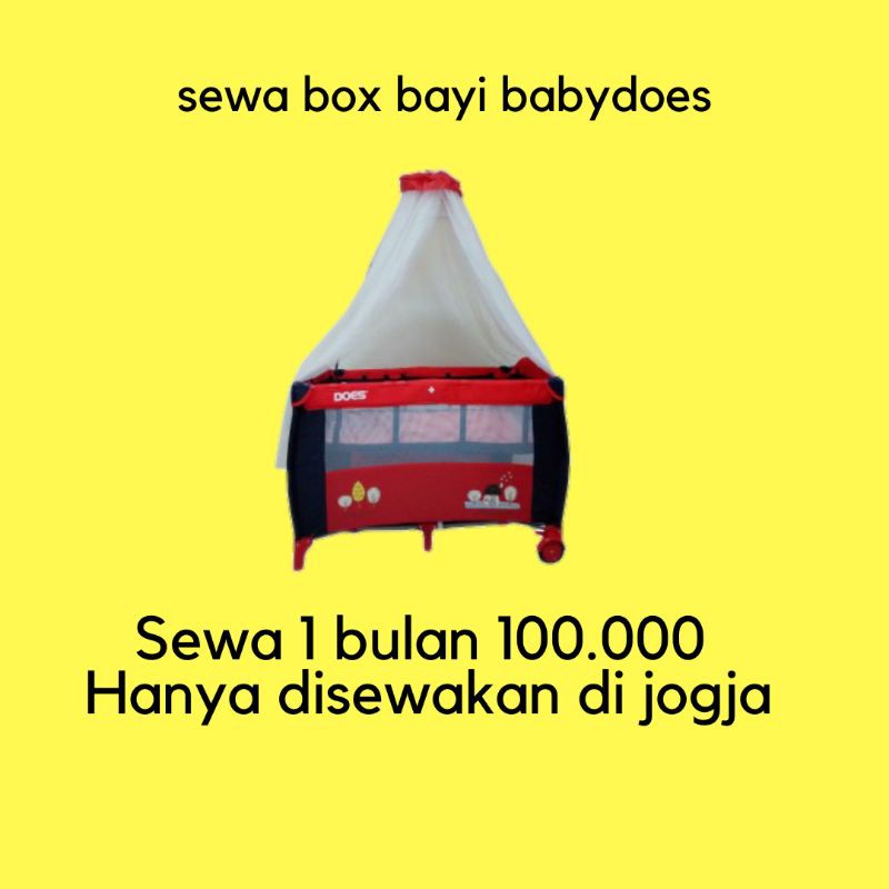 sewa Jogja box bayi babydoes