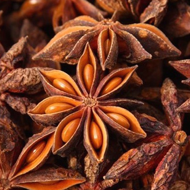 

Bunga Lawang 100 Gr / Star Aniseeds