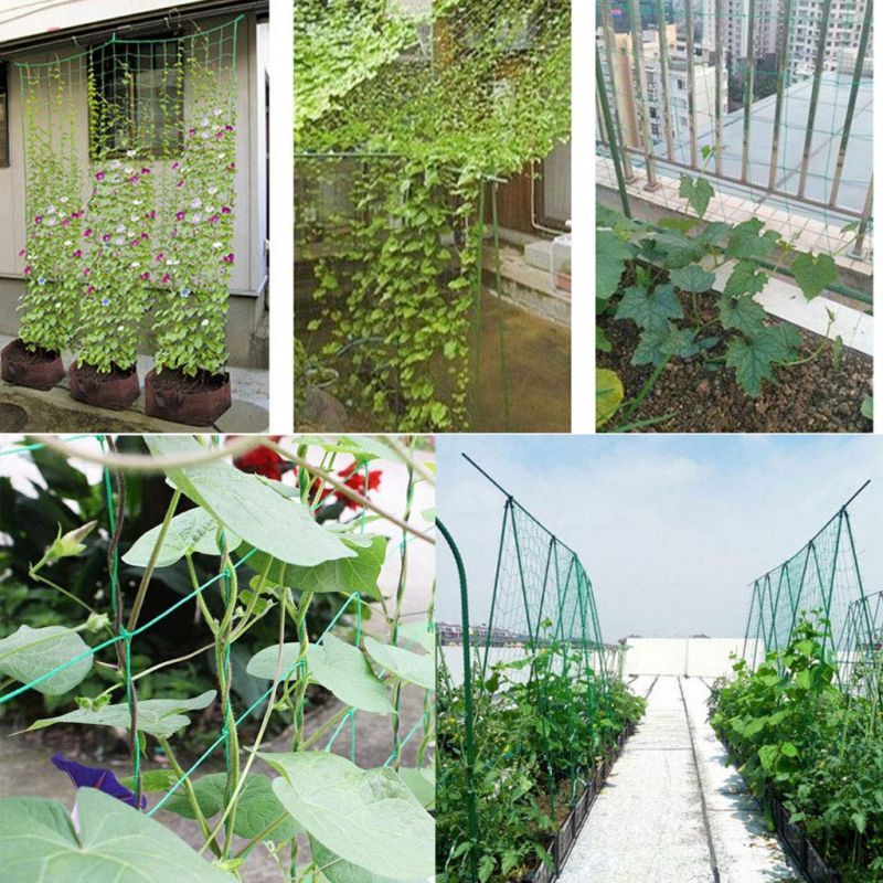 1.8*3.6m Jaring Rambatan Tanaman Buah Sayuran/Buah Plant Climbing Net/Jaring Tanaman Buah Tomat