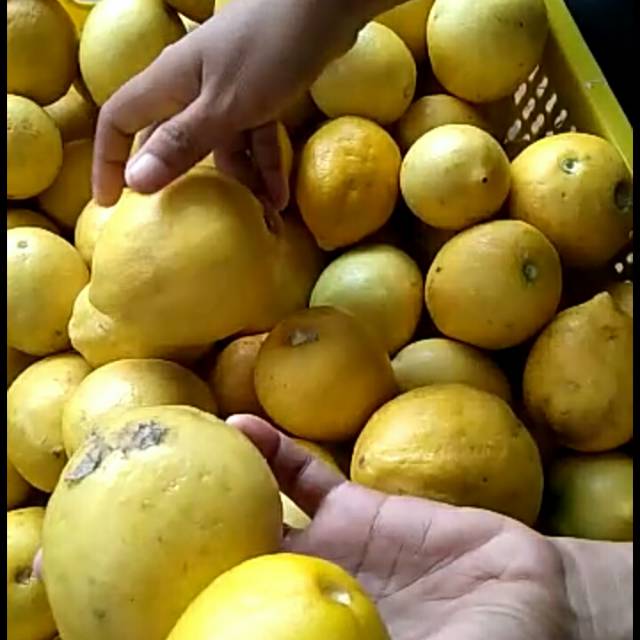 

Lemon import