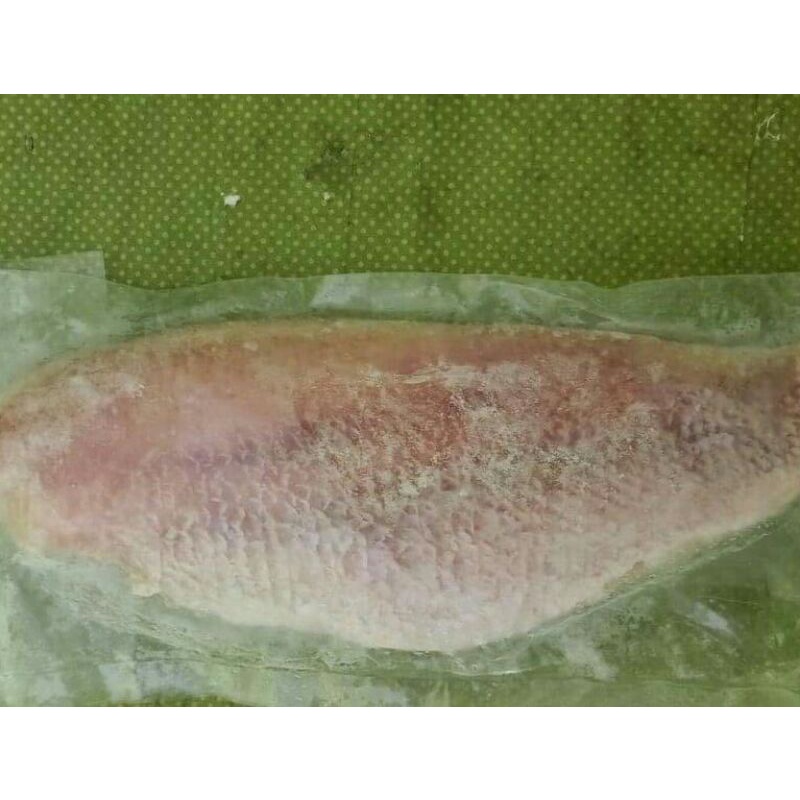 

DAGING FILLET IKAN EKOR KUNING