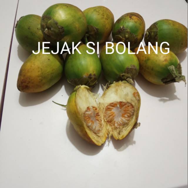 

BUAH PINANG TUA PER 1KG