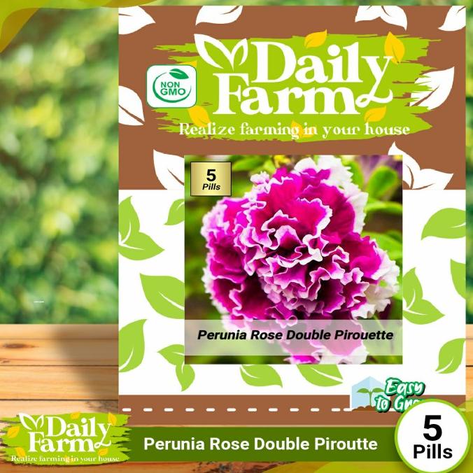 Benih Bunga Petunia Rose Double Pirouette - Daily Farm