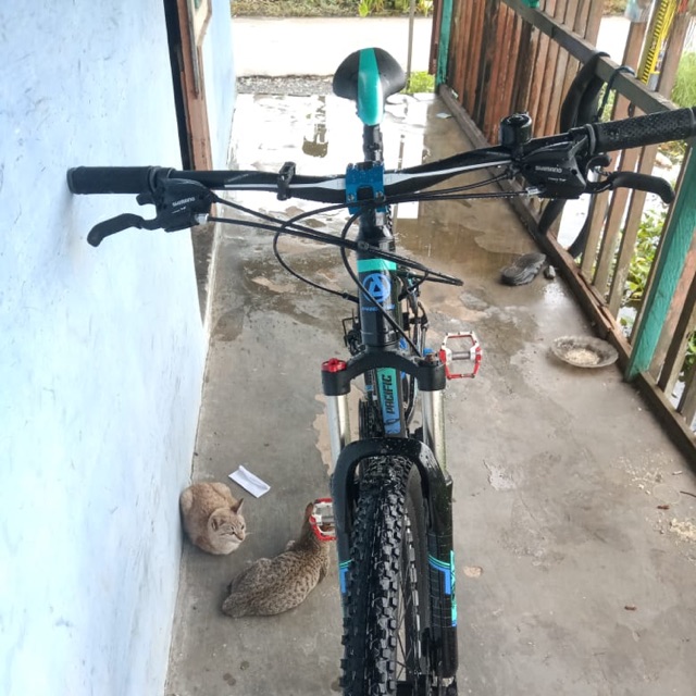 Sepeda mtb pacific invert 400