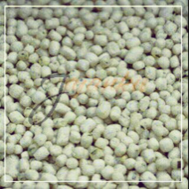 

Khas Pilus Kletuk 500gr