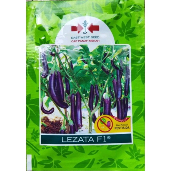 BENIH TERONG UNGU LEZATA CAP PANAH MERAH