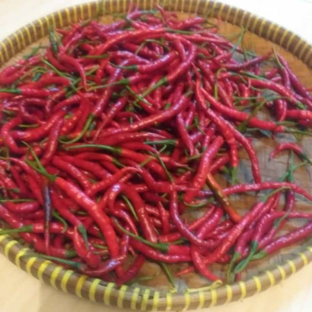 

Cabe merah keriting 500gr