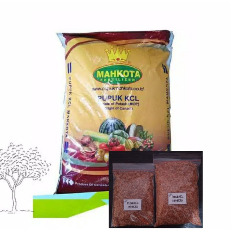 Pupuk KCL Mahkota MOP ORIGIN CANADA REPACK 250Gr