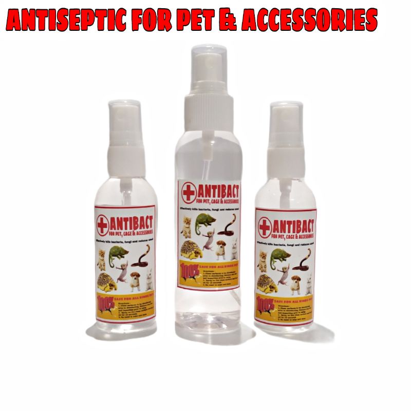 ANTIBACT Antiseptik antiseptic desinfektan kandang reptile hewan kura kura darat sulcata sulkata torto tortoise ular kadal pembersih antiseptik kandang reptile tortoise kura kura kucing anjing kelinci-4