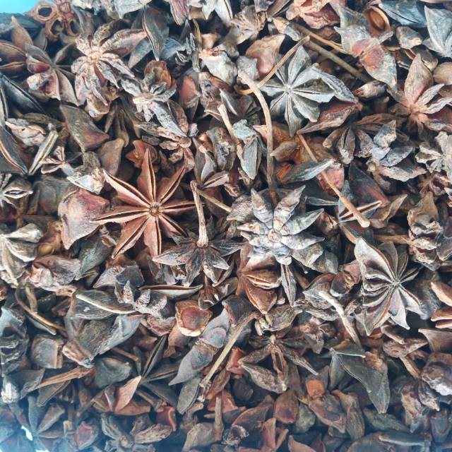 

Bunga Lawang / Star Anise 100 gram