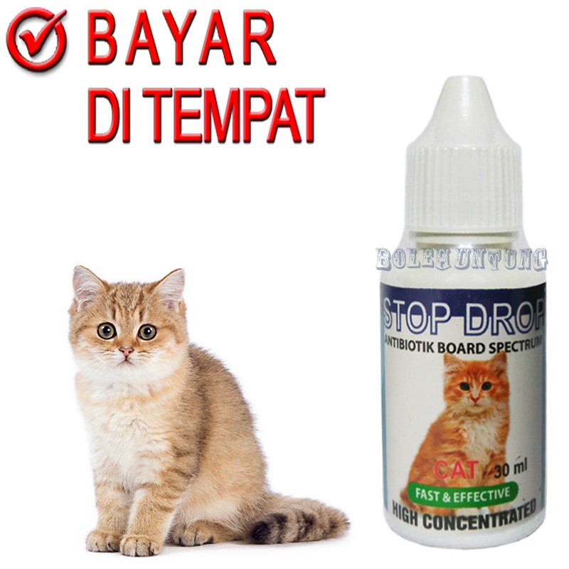 STOP DROP ANTIBIOTIK KUCING OBAT VIRUS FLU DEMAN KUCING KITTEN