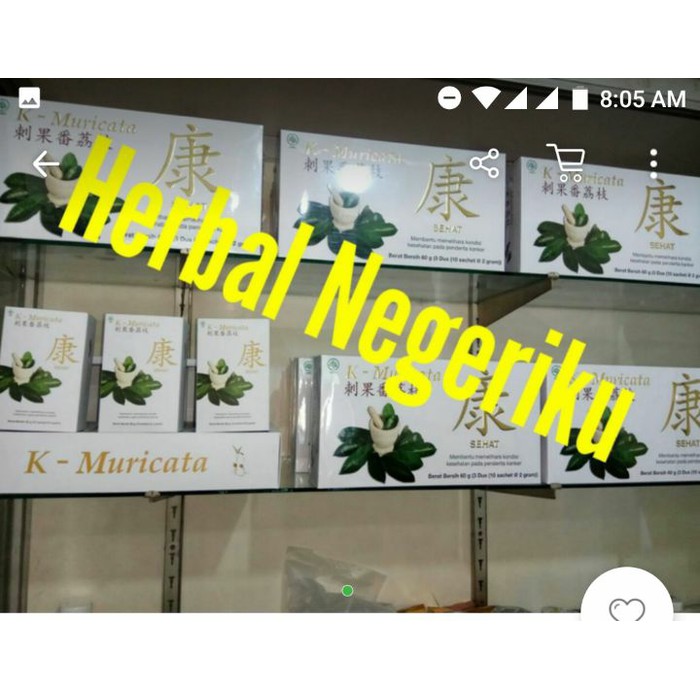 Promo k muricata Murah