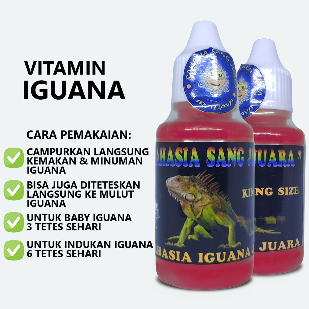 VITAMIN IGUANA PENAMBAH NAFSU MAKAN MENJADIKAN WARNA LEBIH CERAH DAN SEHAT