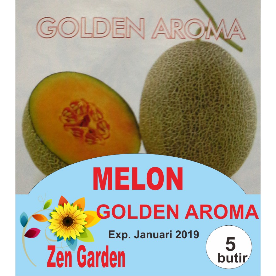 Benih Biji Buah Melon Golden Aroma