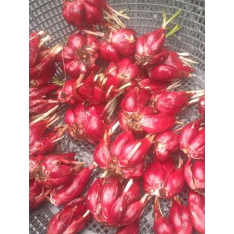 

Bawang Dayak 1kg