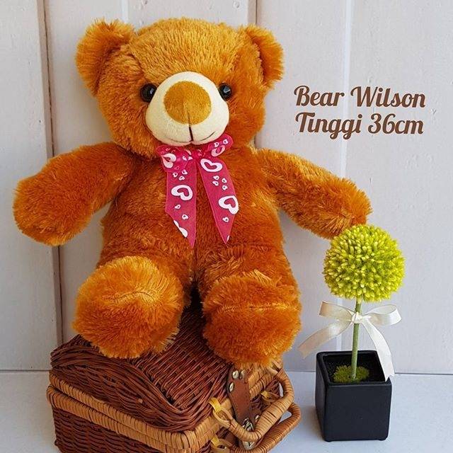 Bear wilson brown