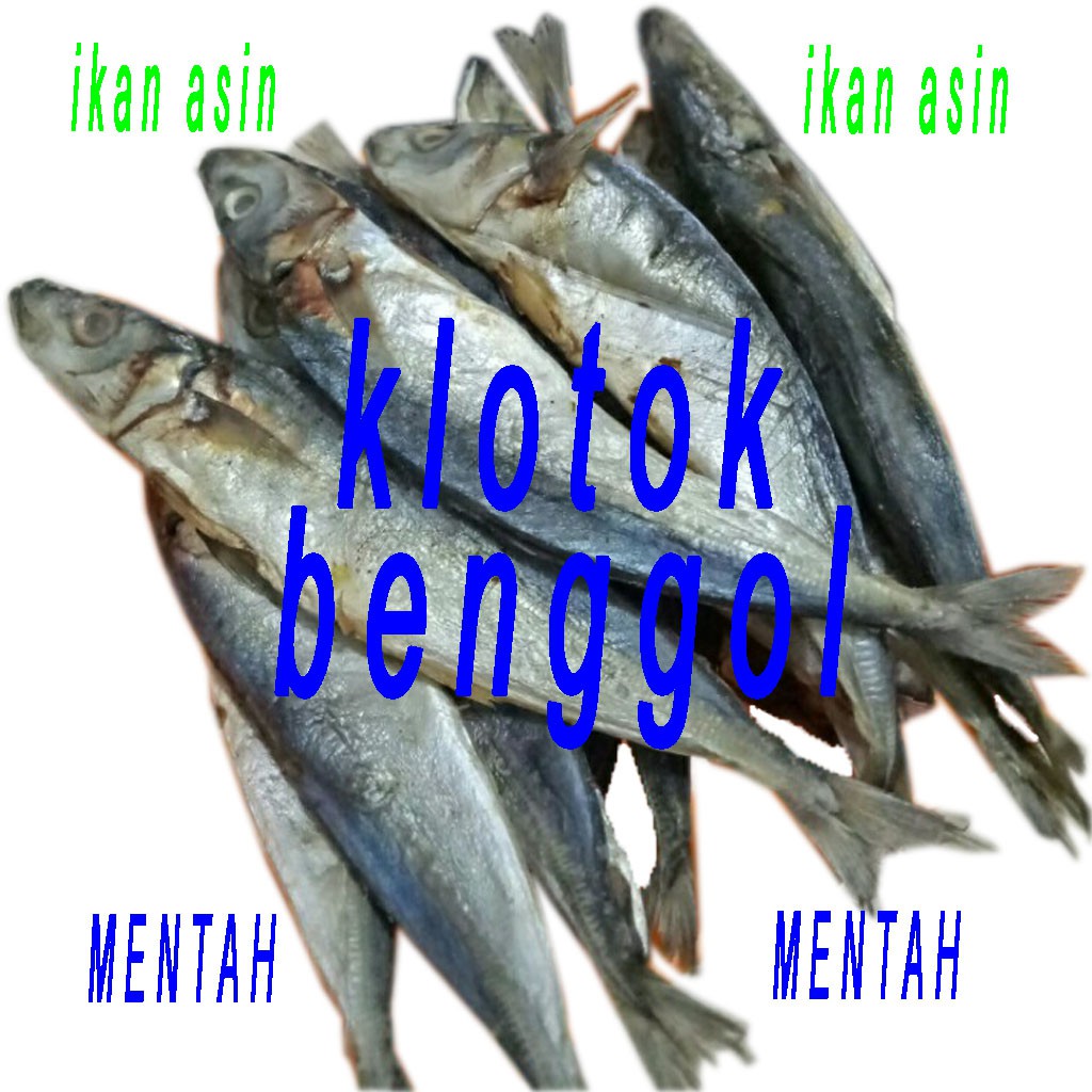  ikan  asin klotok benggol  dari ikan  segar 500 gr 1 2 kg 