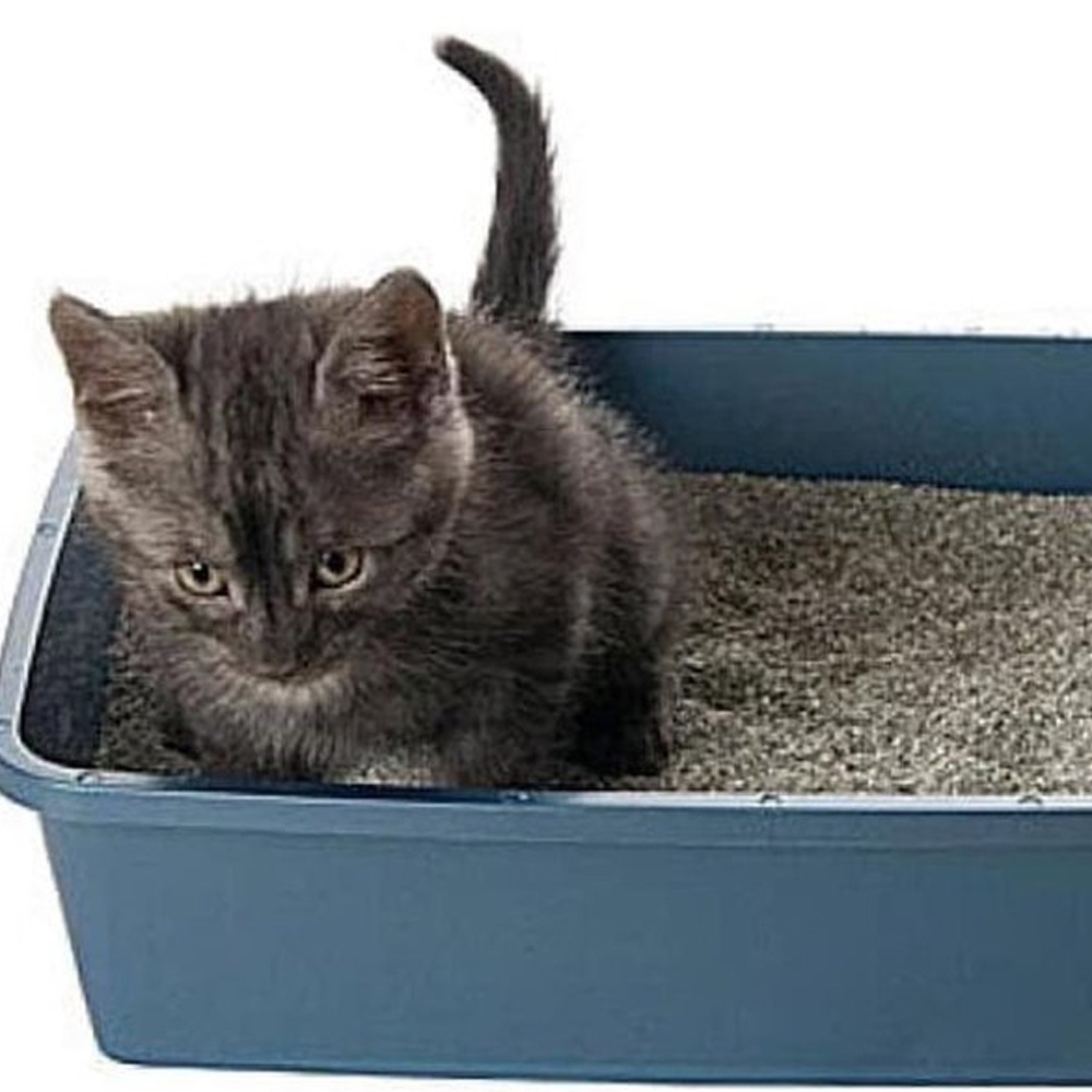 FM - Bak tempat pasir kucing - Cat Litter Box Size 40 x 31 x 13cm