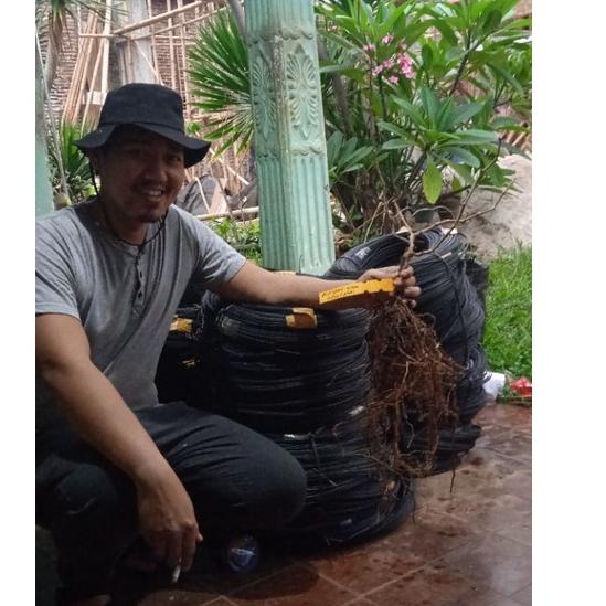 Best terlaris Rambatan anggur / kabel rambatan anggur 1kg ➺ Sale