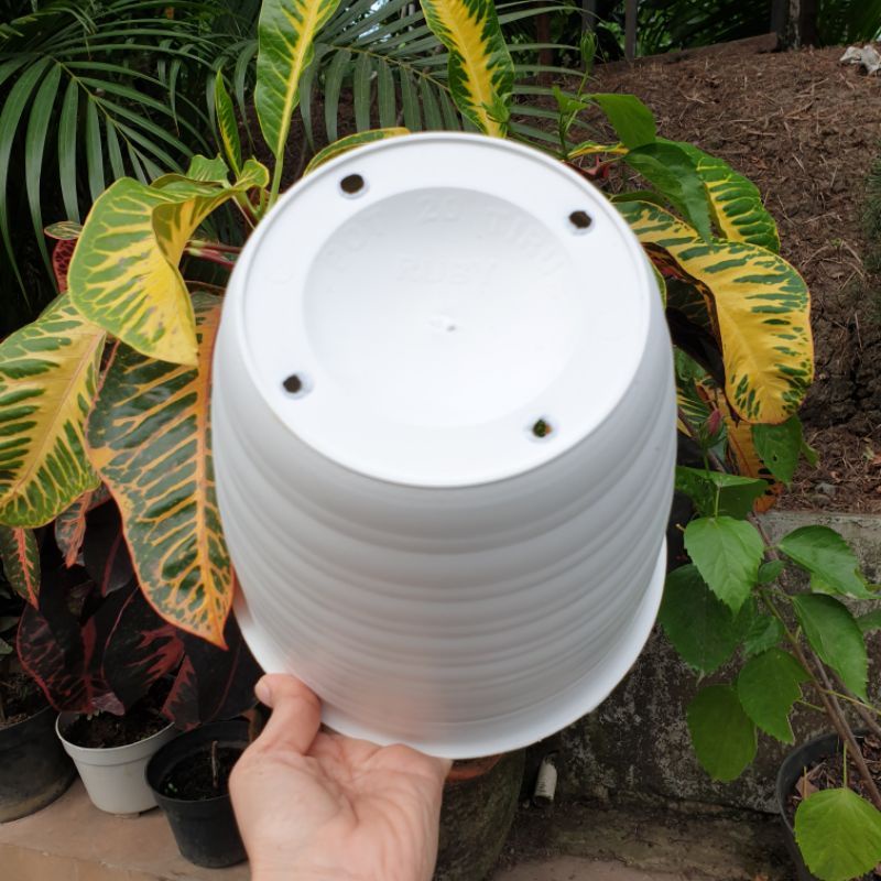 Pot Bunga Putih Model Tawon Pirus Tirus 20 Diameter 20 cm Pot Tawon Tirus Murah Harga Grosir