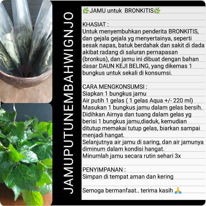 

JAMU untuk BRONKITIS