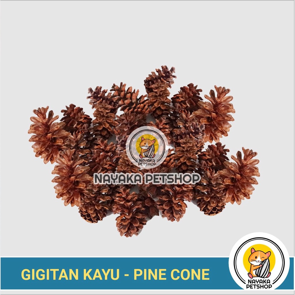 Gigitan Hamster Alami Kayu Biji Pinus Pine Cone Gnawing Wood Natural Asah Gigi Hamster Dental Care