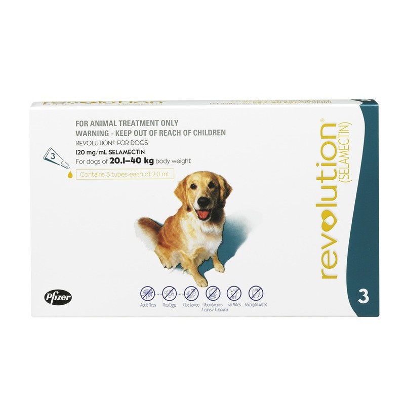 revolution obat kutu anjing 40,1 - 85 lbs / 20 - 40 kg | Shopee Indonesia