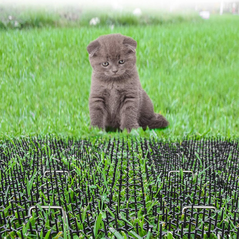 Strip Duri Penggalian Kucing Portabel Untuk Taman