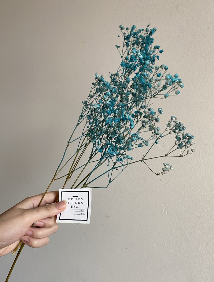 Dried Babybreath in Blue Series/ Bunga babybreath kering biru - Teal Blue