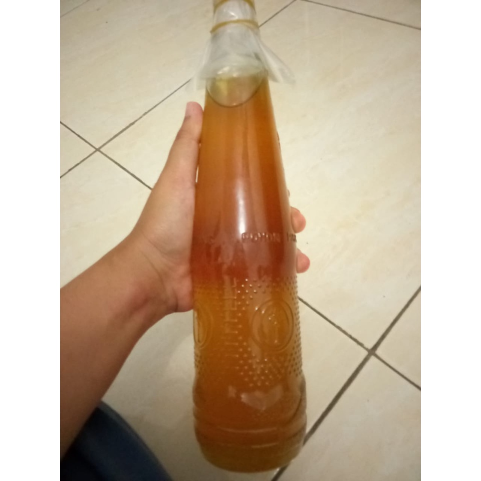 

Madu Asli HUtan BBJ